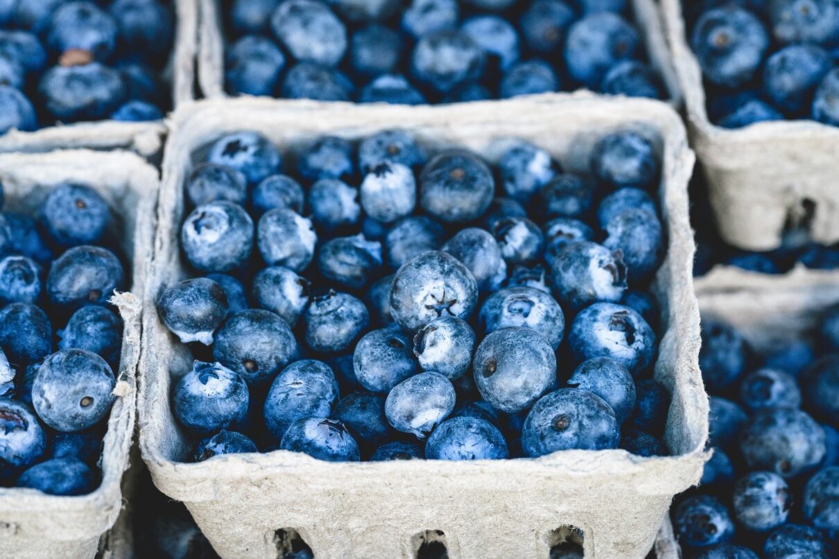 antioxidant rich blueberries